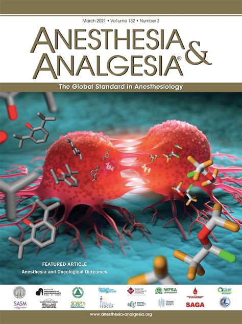 Anesthesia Lithotomy 的图像结果