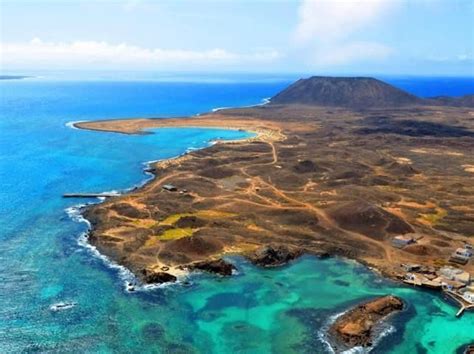 6 Best Dolphin Watching Tours in Lanzarote - Hellotickets