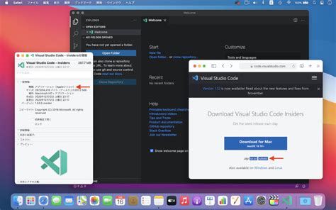 Image result for Download Visual Studio Code Insiders