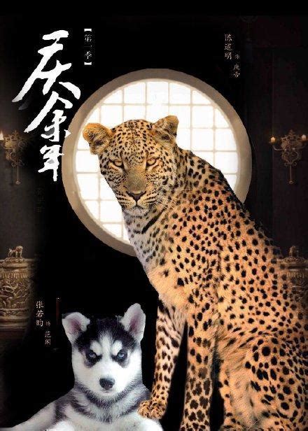 何时豹归来｜中国古代驯豹简史_中科院动物所