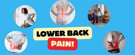 Hehap Ortho Oil Pain Roll On Ayurvedic Blended Quick Instant Pain ...