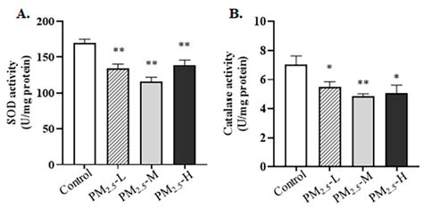 Alveolar Type II Cell Damage and Nrf2-SOD1 Pathway Downregulation Are ...