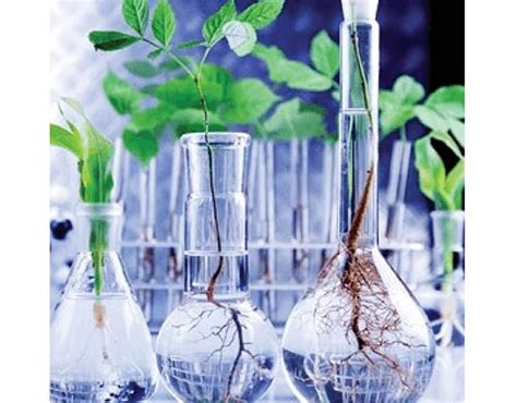 Biotechnology 的图像结果