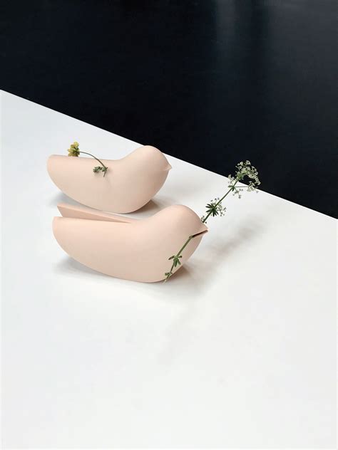 Image result for Bird Contorting