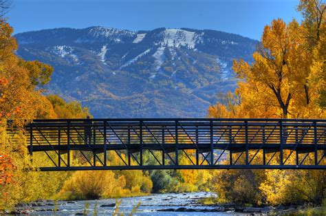 Colorado Fall Aspens