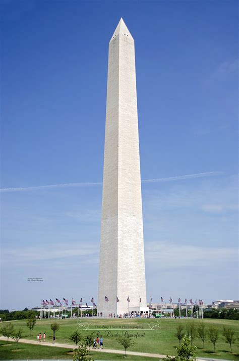 Washington DC 的图像结果