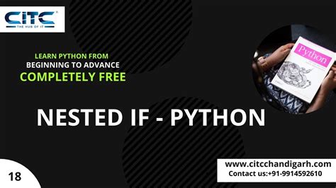 Understanding Nested If Statements in Python 的图像结果