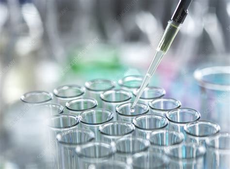 Biotechnology Research Topics 的图像结果