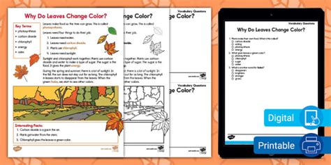 First Grade Why Do Leaves Change Color? Fact File and