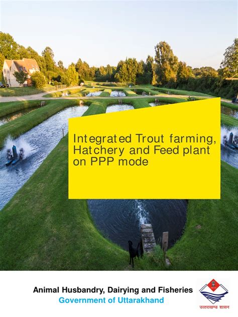 Image result for Trout Farming Methods