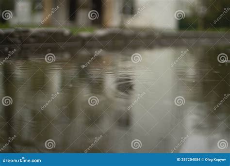 Puddle 的图像结果