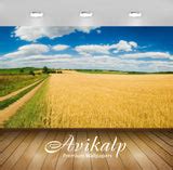 Avikalp Exclusive AWI996 Nature HD Wallpapers for Living room, Hall, K ...