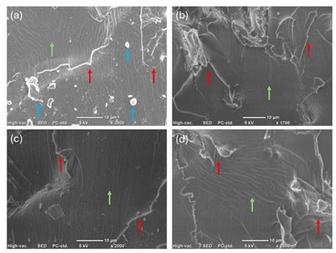Thiol-Ene Photopolymerization and 3D Printing of Non-Modified Castor ...