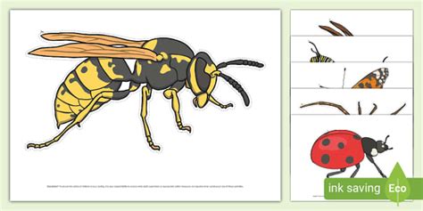 Realistic Minibeast Display Cut Outs