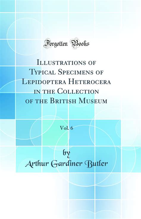 Buy Illustrations of Typical Specimens of Lepidoptera Heterocera in the ...