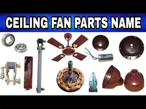 Ceiling Fan Parts Name List - Infoupdate.org