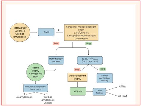 Multimodality Imaging in Cardiac Amyloidosis