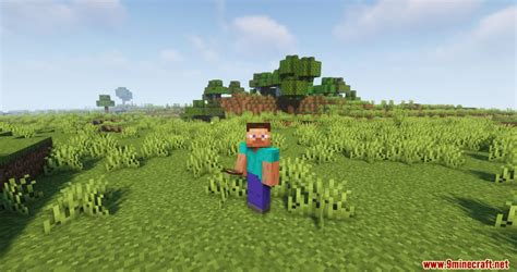 Backpack Mod 1.16.5 的图像结果