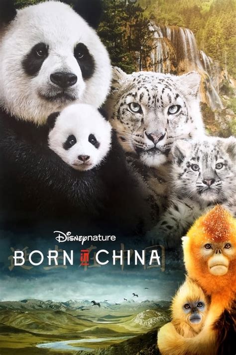 Born in China (2016) - Is Born in China on Netflix? - Netflix Movies