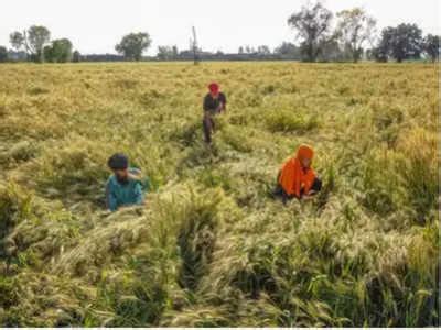 Chhattisgarh government to launch Rajiv Gandhi Kisan Nyay Yojana from ...