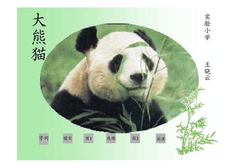 大熊猫学生网页设计模板 静态HTML动物保护学生网页作业成品 DIV CSS大熊猫野生动物主题静态网页_大熊猫主题网站html_STU网页设计 ...