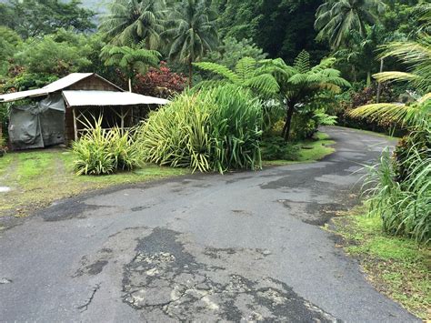 NATTY TROPICAL VALLEY (Dominica/Roseau) - Specialty Hotel Reviews ...