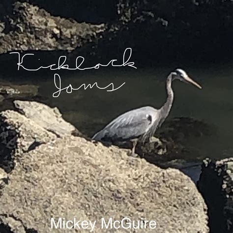 Kickback Jams - Mickey McGuire - 专辑 - 网易云音乐