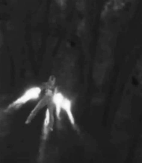 Image result for Alien Attacks On People