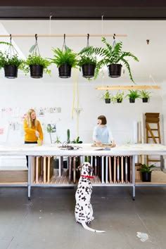 Image result for Print Shop Projects