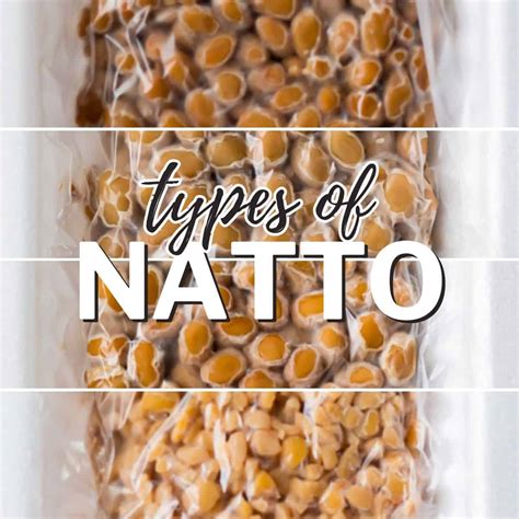How To Make Natto using Store-bought Natto as a Starter - Chef JA Cooks