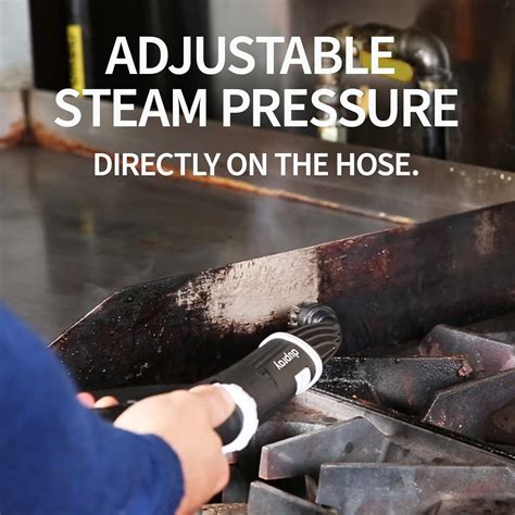 Dupray One Steam Cleaner: Portable, chemical-free India | Ubuy