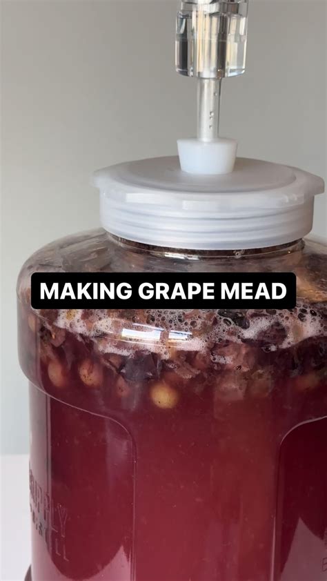 Image result for Easy Homemade Wine Using Grapes