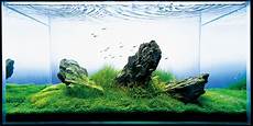 amano aquascape takashi amano nature aquarium aquascapes t a g amano aquascape takashi amano nature aquarium aquascapes t a g