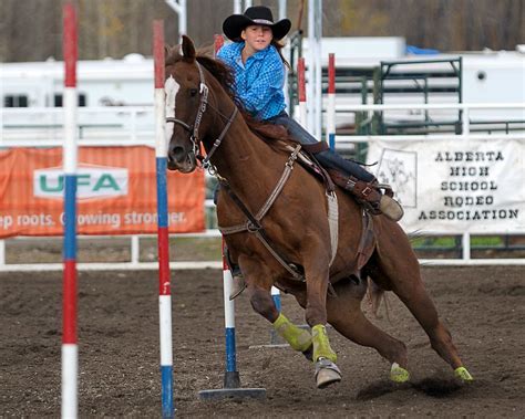 Image result for Pole Bending Tips