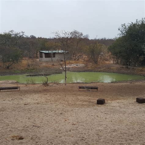 MADUMA BOMA GAME CONSERVANCY (Hoedspruit) - Ranch Reviews & Photos ...