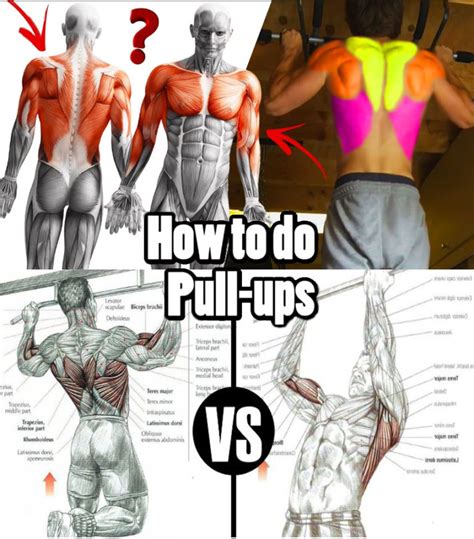 Image result for Pull-up Variations