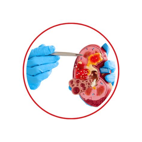 Top Doctor - Find the Best Doctors Near You | Top Doctor