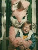 Image result for Cat in Bunny Costume