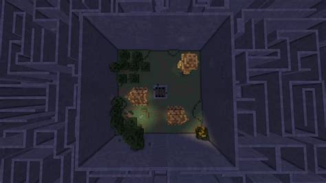 Image result for Maze Runner Minecraft 1