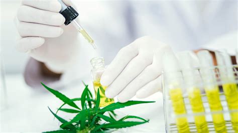 Image result for CBD Extraction Methods