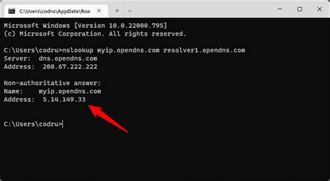 How to Find Public IP Address of PC Using Cmd 的图像结果