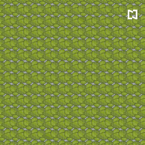 Reto visual para expertos: encontrá los cactus sin espinas en menos de ...