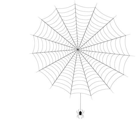Page 7 | Spider web photography Vectors - Download Free High-Quality ...