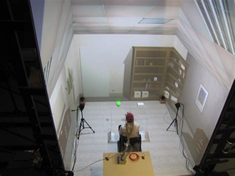 Cave Automatic Virtual Environment 的图像结果