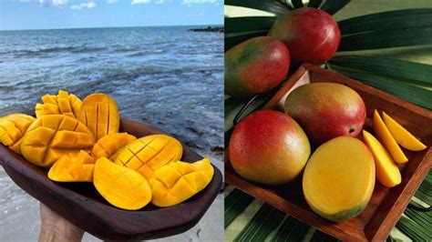 Are mangoes “hot” for the body? Experts explain the reality behind the ...