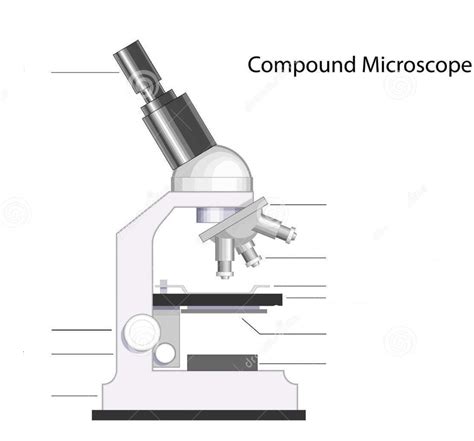 Image result for Compound Microscope Blank Labels