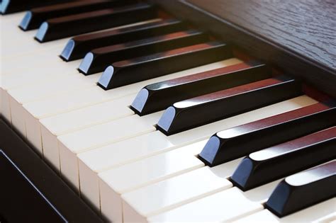 Image result for Piano Roblox Corpse Bride