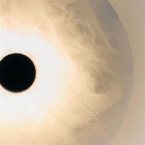 LED Wall Lamp Sual (9W) - Aromas del Campo - Wonderlamp.shop