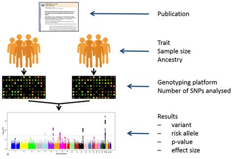 Image result for GWAS Software