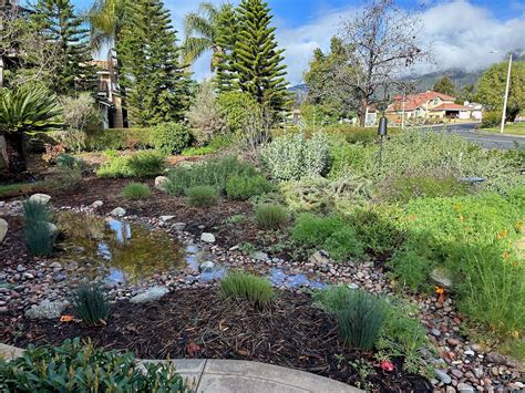 Water Savvy Landscape Contest | Cucamonga Valley Water District ...